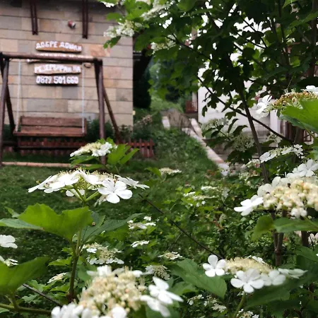 Луксозна вила Pamporovo Villa Пампорово