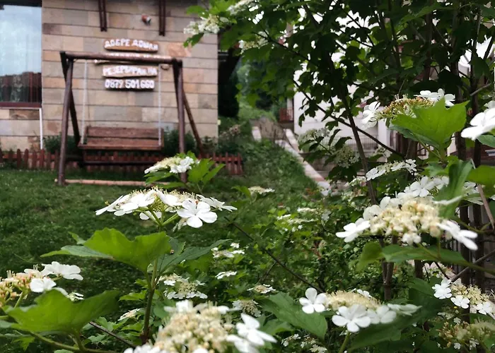 Луксозна вила Pamporovo Villa Пампорово